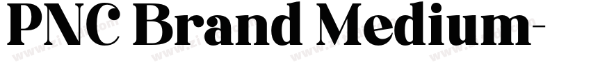 PNC Brand Medium字体转换